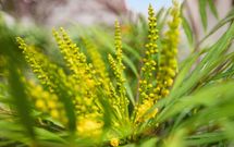 Hooftlaantje 106, HENDRIK-IDO-AMBACHT