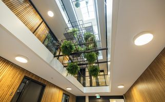 Zeis 42, HENDRIK-IDO-AMBACHT