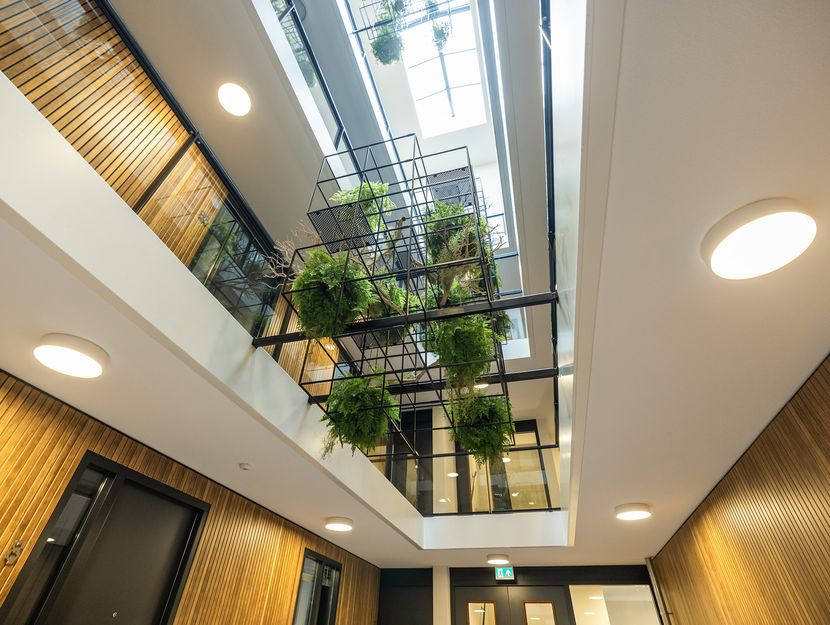 Zeis 42, HENDRIK-IDO-AMBACHT