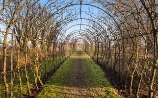 Perenlaantje 10, HENDRIK-IDO-AMBACHT