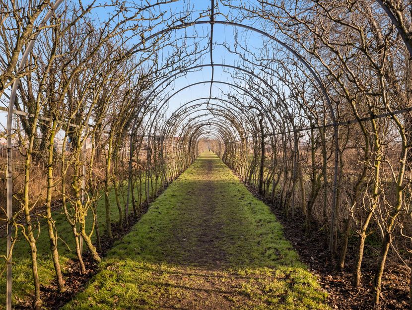 Perenlaantje 10, HENDRIK-IDO-AMBACHT