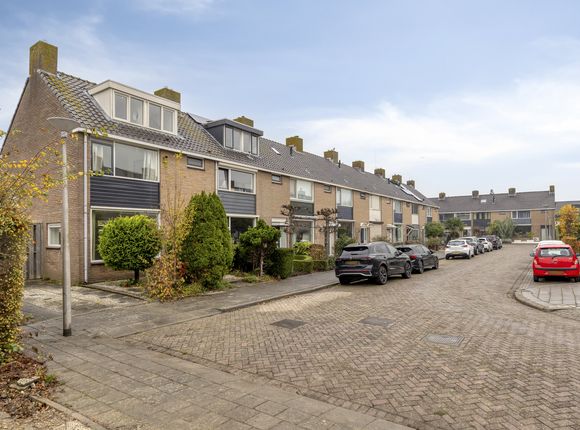 Schultz van Haegenstraat 17