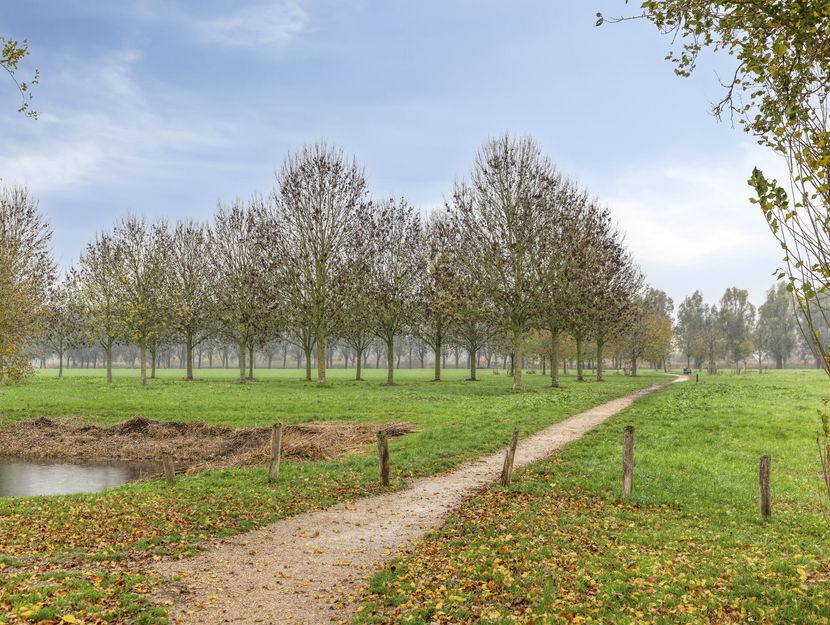 Schultz van Haegenstraat 17, HENDRIK-IDO-AMBACHT