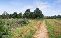 Schultz van Haegenstraat 17, HENDRIK-IDO-AMBACHT