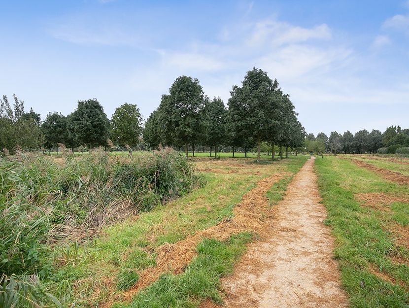 Schultz van Haegenstraat 17, HENDRIK-IDO-AMBACHT