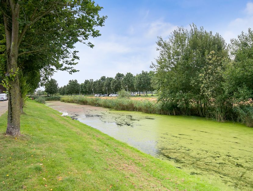 Schultz van Haegenstraat 17, HENDRIK-IDO-AMBACHT