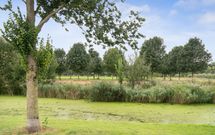 Schultz van Haegenstraat 17, HENDRIK-IDO-AMBACHT