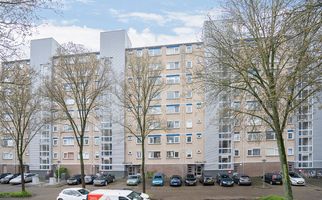 Tomatenplein 94, ZWIJNDRECHT