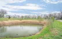 Tomatenplein 94, ZWIJNDRECHT