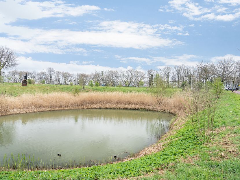 Tomatenplein 94, ZWIJNDRECHT