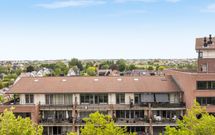 Zalm 226, HENDRIK-IDO-AMBACHT