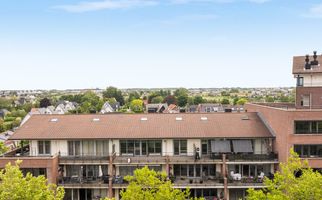 Zalm 226, HENDRIK-IDO-AMBACHT