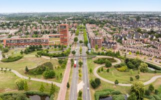 Zalm 226, HENDRIK-IDO-AMBACHT