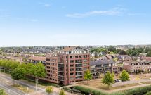 Zalm 226, HENDRIK-IDO-AMBACHT