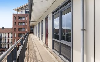 Zalm 226, HENDRIK-IDO-AMBACHT