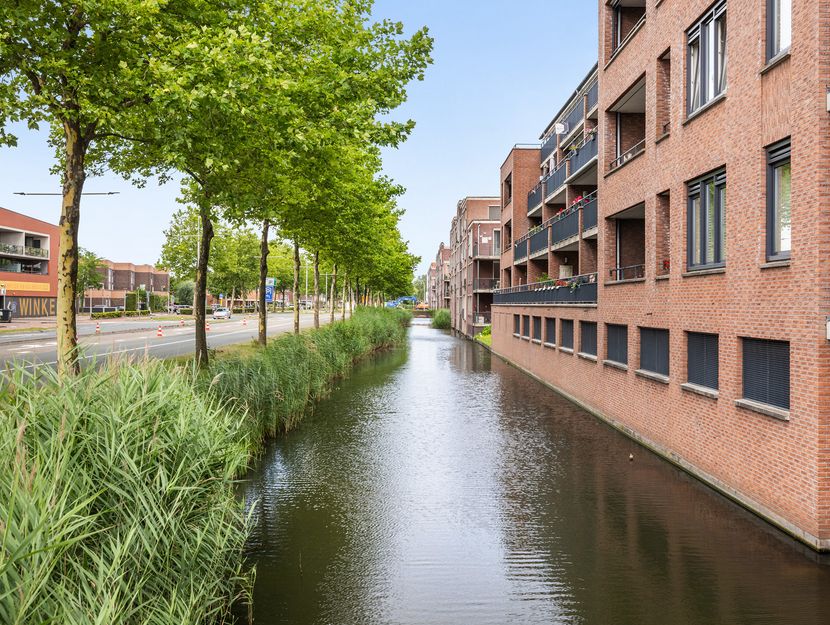 Zalm 226, HENDRIK-IDO-AMBACHT