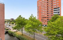 Zalm 226, HENDRIK-IDO-AMBACHT