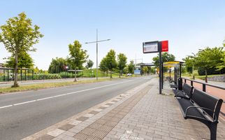 Zalm 226, HENDRIK-IDO-AMBACHT