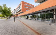 Zalm 226, HENDRIK-IDO-AMBACHT