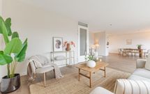 Zalm 226, HENDRIK-IDO-AMBACHT