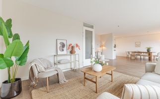 Zalm 226, HENDRIK-IDO-AMBACHT