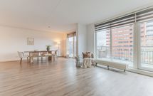 Zalm 226, HENDRIK-IDO-AMBACHT