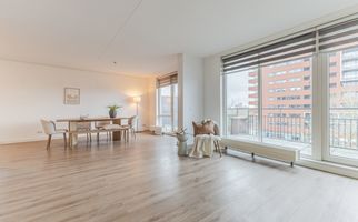 Zalm 226, HENDRIK-IDO-AMBACHT