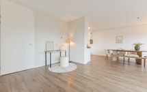 Zalm 226, HENDRIK-IDO-AMBACHT