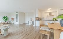 Zalm 226, HENDRIK-IDO-AMBACHT