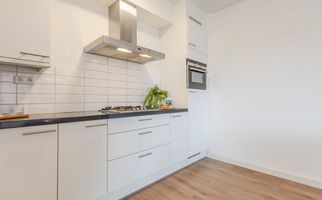 Zalm 226, HENDRIK-IDO-AMBACHT