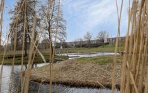 Steur 98, HENDRIK-IDO-AMBACHT