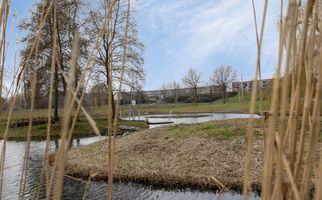 Steur 98, HENDRIK-IDO-AMBACHT