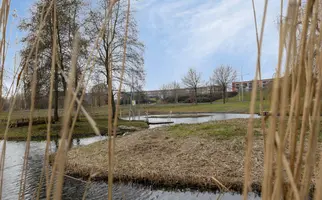 Steur 98, HENDRIK-IDO-AMBACHT