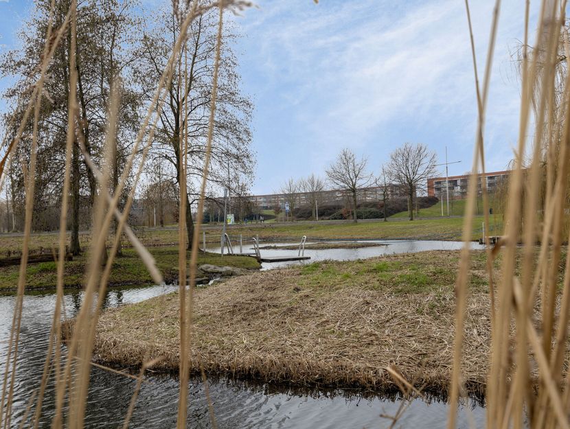 Steur 98, HENDRIK-IDO-AMBACHT