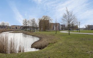 Steur 98, HENDRIK-IDO-AMBACHT