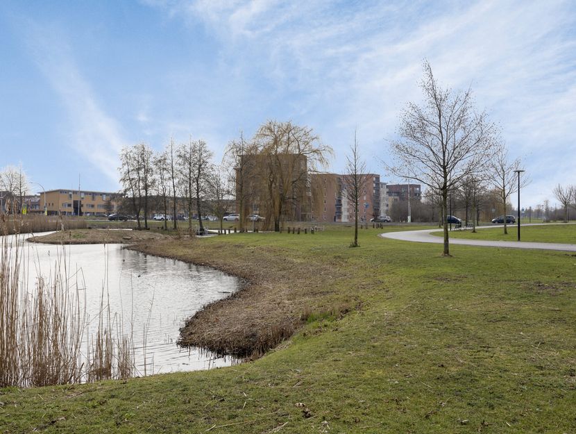 Steur 98, HENDRIK-IDO-AMBACHT