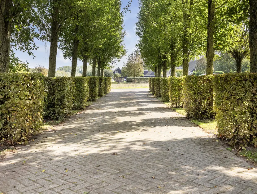 Kijfhoek 32, ZWIJNDRECHT