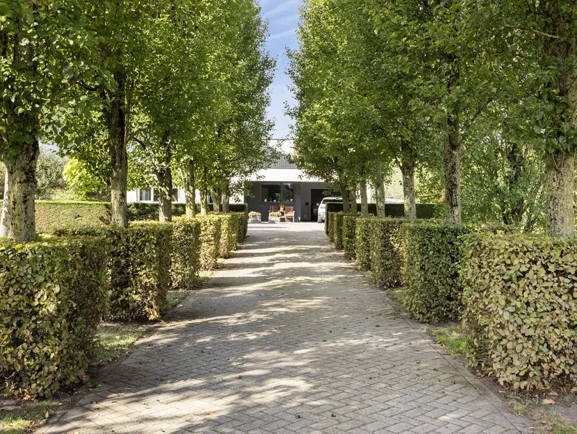 Kijfhoek 32, ZWIJNDRECHT