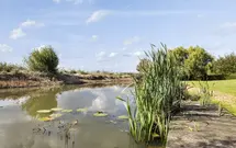 Kijfhoek 32, ZWIJNDRECHT