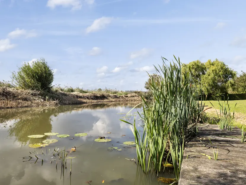 Kijfhoek 32, ZWIJNDRECHT