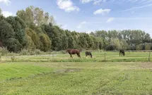 Kijfhoek 32, ZWIJNDRECHT