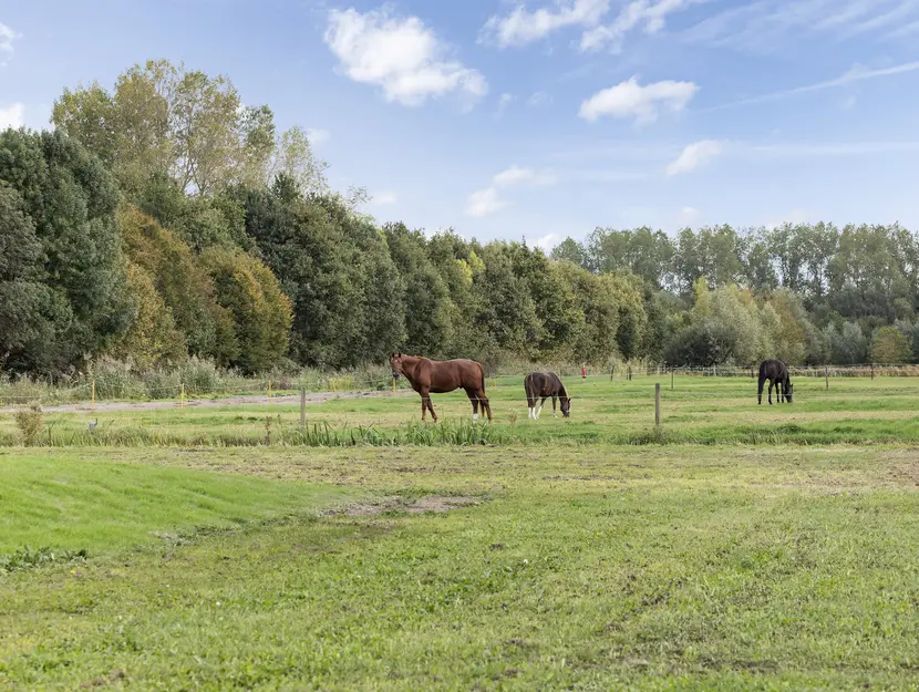 Kijfhoek 32, ZWIJNDRECHT