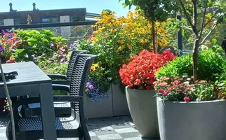 Emmasingel 10A, HENDRIK-IDO-AMBACHT