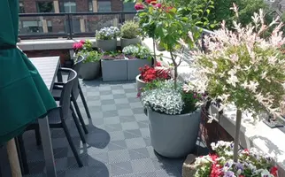 Emmasingel 10A, HENDRIK-IDO-AMBACHT