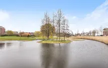Steur 8, HENDRIK-IDO-AMBACHT