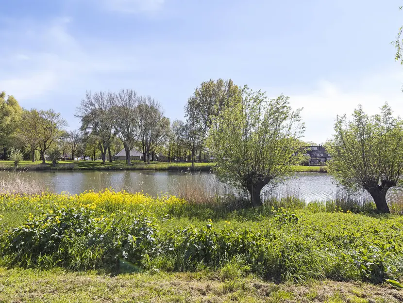 Oudeland 47, ZWIJNDRECHT