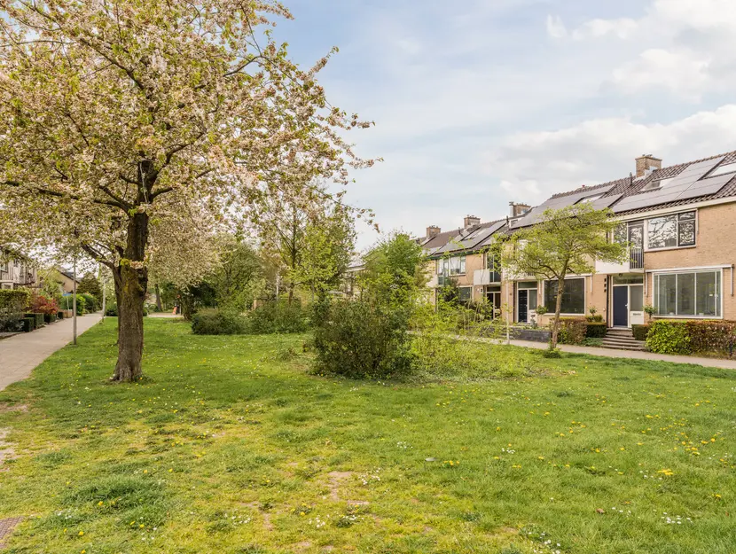 Daniël van de Merwedestraat 29, HENDRIK-IDO-AMBACHT