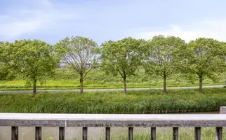 Johanna Naber-erf 571, DORDRECHT
