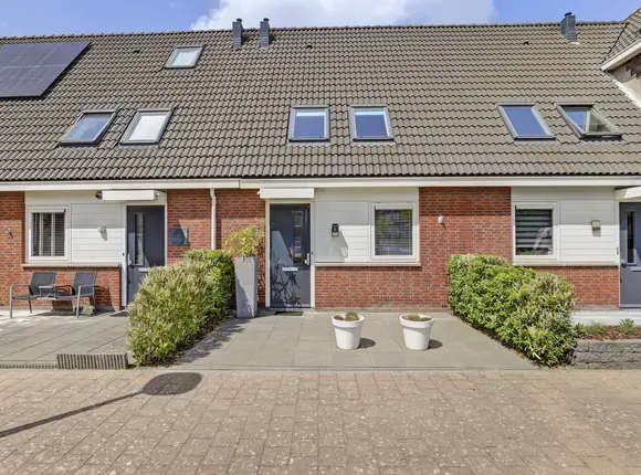 Steur 51
