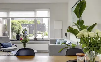 Steur 51, HENDRIK-IDO-AMBACHT
